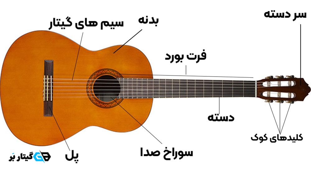 انواع قسمت های گیتار