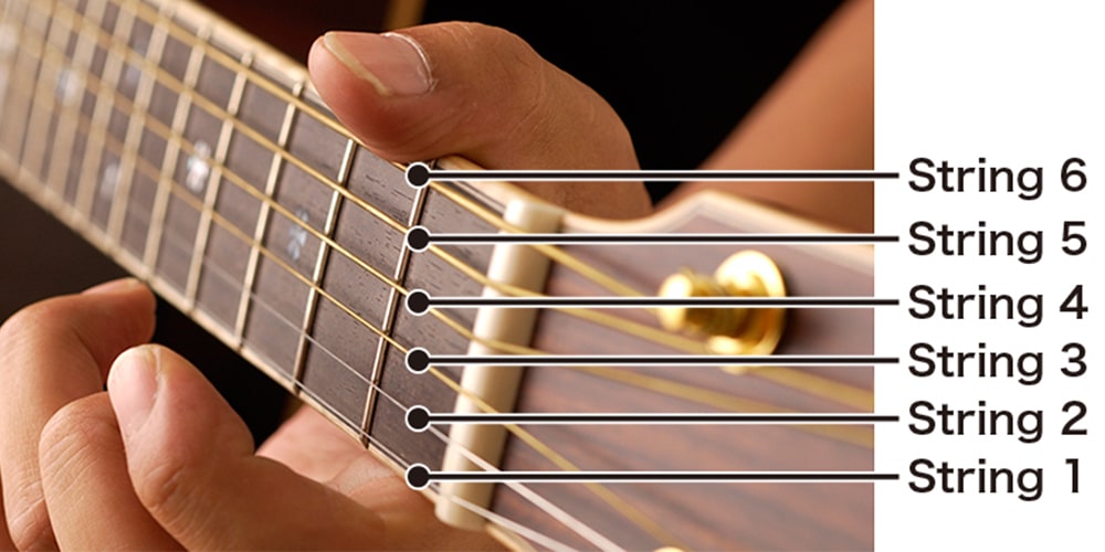 سیم ها (Strings)