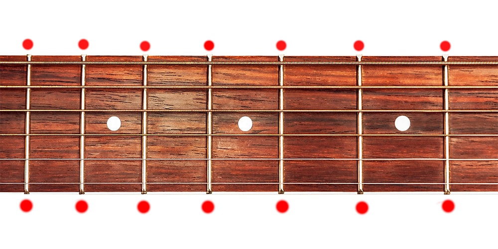 فرت بورد (Fretboard)